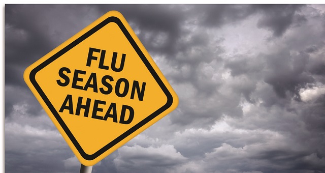 CDC flu season