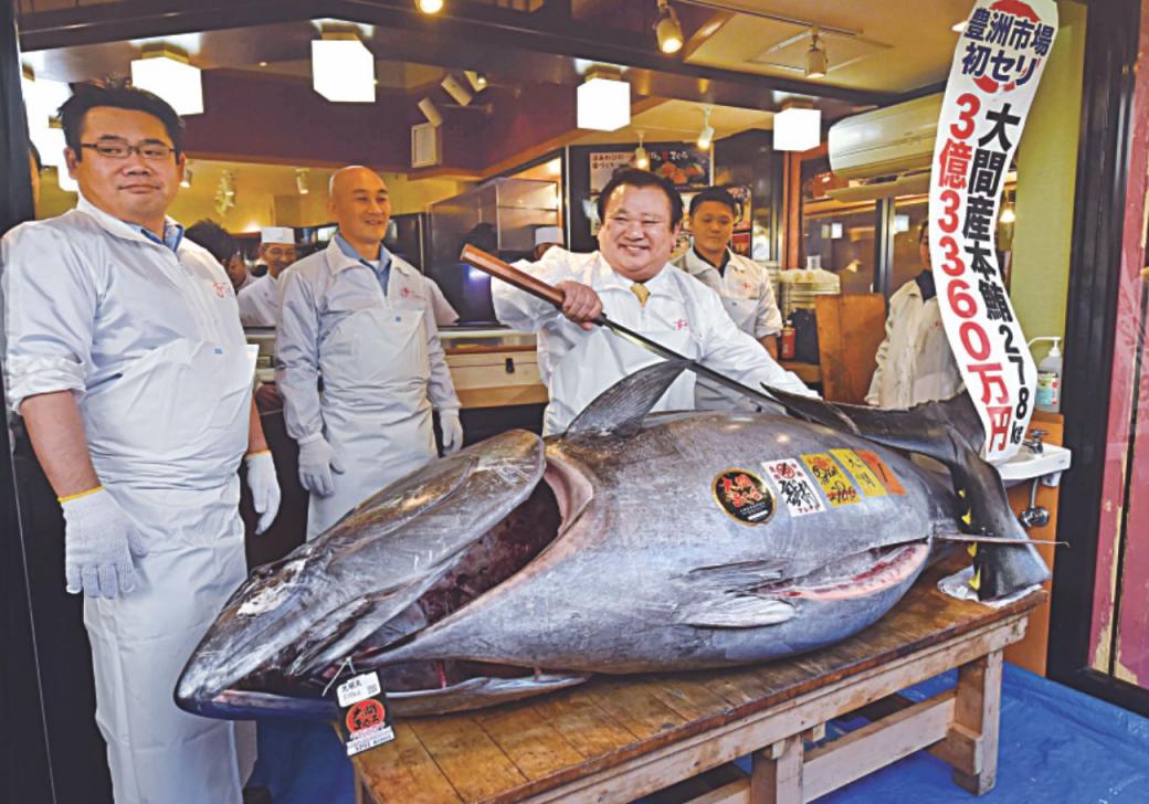 Bluefin tuna sells for record $3M at Tokyo auction